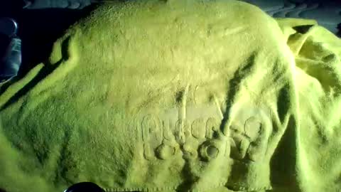 crave_me_ online show from 20, 11, 2025