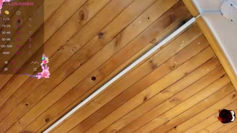 Cristal online show from 22, 9, 2025