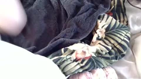 Crucifux online show from 30, 1, 2025