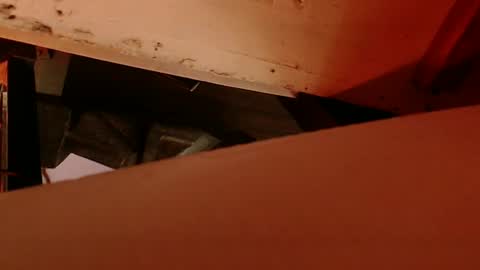 cryan96 online show from 4, 2, 2025