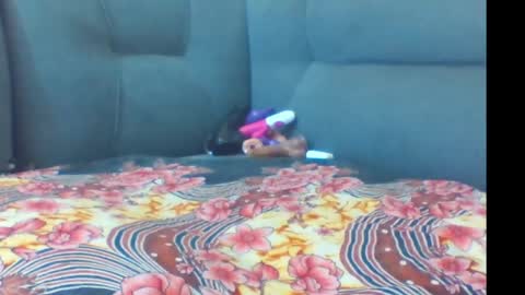 crystallgem online show from 2, 3, 2026