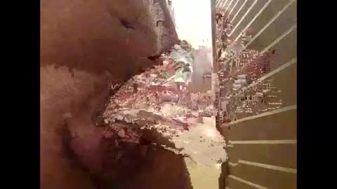 csunny37 online show from 6, 1, 2026