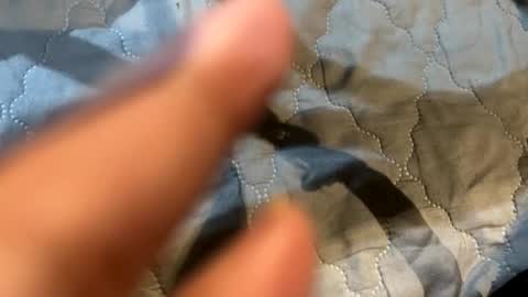 im KIM new girl to spoil online show from 7, 11, 2025