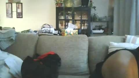 Snapshot of cumdumpslutfag chatting on 11, 6, 2026 cumdumpslutfag online show from 11, 6, 2026