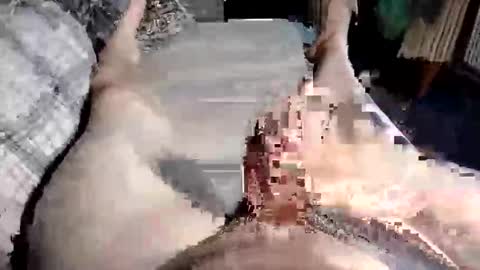 Paul online show from 10, 10, 2025