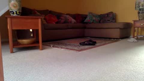 cumonherguys online show from 17, 11, 2025