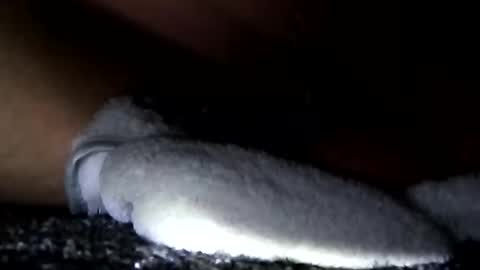 Aprilia online show from 14, 1, 2025