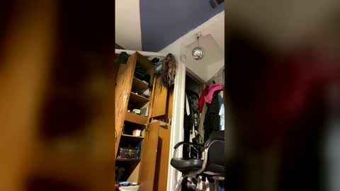 Aprilia online show from 2, 2, 2026