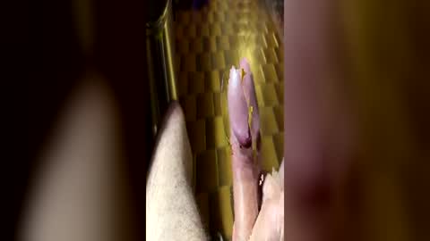 curicat69 online show from 21, 6, 2026