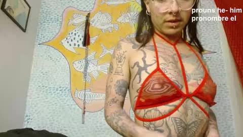 Snapshot of curuba_ chatting on 25, 12, 2024 Curuba online show from 25, 12, 2024