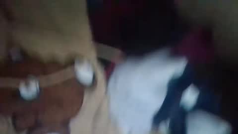 dahlia -kim online show from 4, 12, 2024