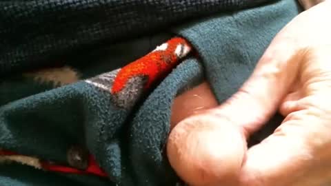 BI SMOOTH MATURE  SUB online show from 29, 1, 2025