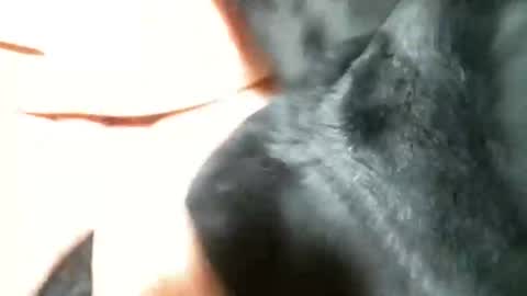 BI SMOOTH MATURE  SUB online show from 5, 3, 2025