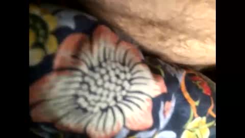 Steve online show from 20, 1, 2025