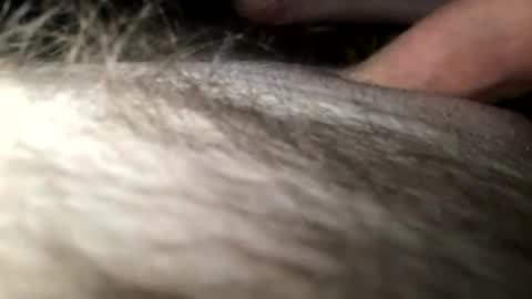 Steve online show from 28, 1, 2025