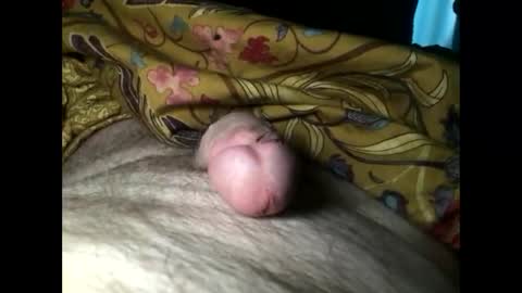 Steve online show from 3, 3, 2025