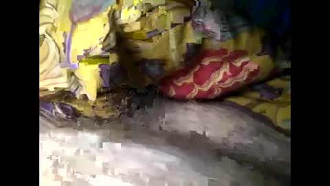 Steve online show from 4, 3, 2025