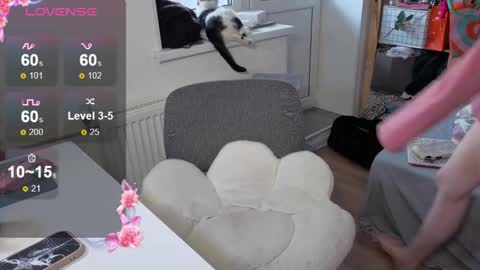 Alice  online show from 22, 10, 2025