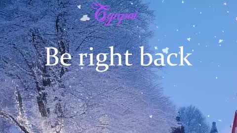 Cynpai online show from 24, 3, 2026