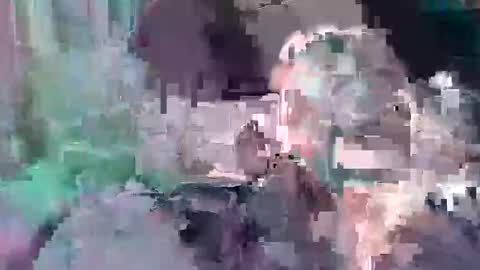 B dickkReallyyFck online show from 23, 1, 2025