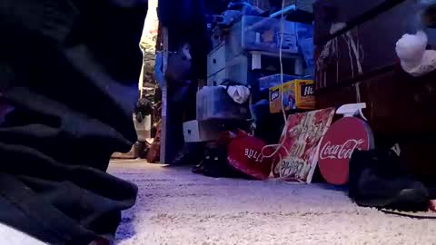 dabangaz4life online show from 4, 12, 2024