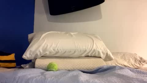 Jewbb online show from 15, 3, 2026