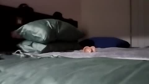 Kasey Xdresser online show from 6, 2, 2026