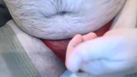 Van online show from 1, 3, 2026