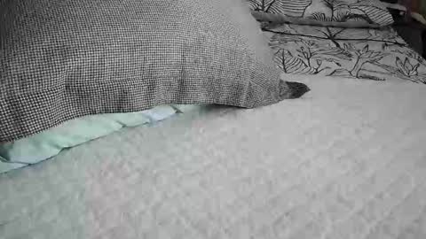 Snapshot of daddyslittleebony chatting on 29, 4, 2026 daddyslittleebony online show from 29, 4, 2026
