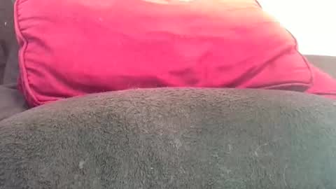 Snapshot of daddyy008 chatting on 7, 11, 2025 daddyy008 online show from 7, 11, 2025