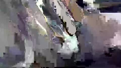 Snapshot of dadyschlong chatting on 26, 3, 2026 GIANT Lamar 72 ft tall with a 10 inches BBC hard quick cumshot in private show lets go online show from 26, 3, 2026