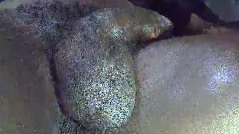 Snapshot of dadyschlong chatting on 1, 4, 2026 GIANT Lamar 72 ft tall with a 10 inches BBC hard quick cumshot in private show lets go online show from 1, 4, 2026