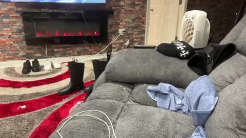 DaedotFrankyLoko online show from 1, 6, 2026