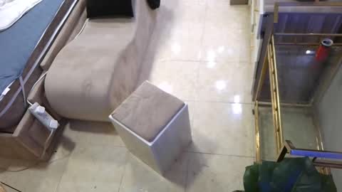 Deffa online show from 6, 3, 2025