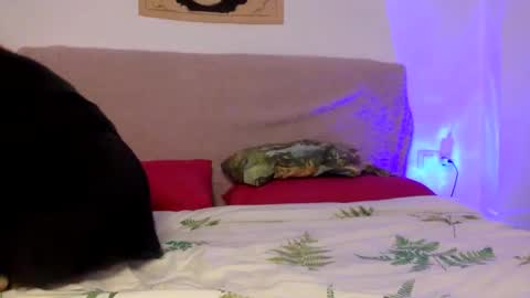 Snapshot of dafnesqueeze chatting on 7, 1, 2025 dafnesqueeze online show from 7, 1, 2025