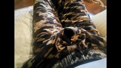 Snapshot of dailyjerker84 chatting on 23, 11, 2025 DailyJerker84 online show from 23, 11, 2025