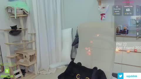 Daisy online show from 24, 3, 2026