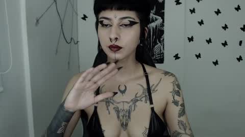 dakota online show from 26, 2, 2025