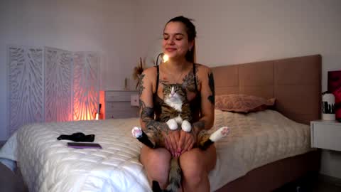 Dasha online show from 4, 4, 2026