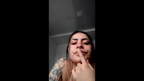 dakotatto online show from 12, 4, 2026