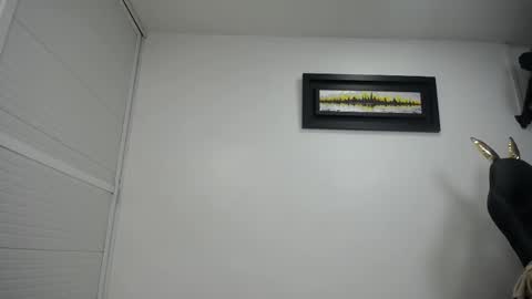 dalia dubey online show from 17, 2, 2025