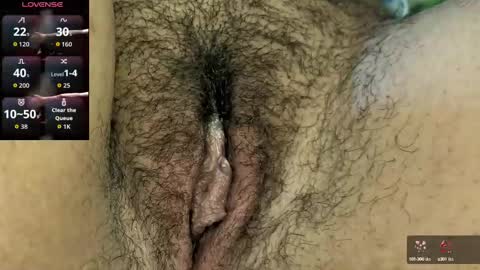 dalila online show from 28, 9, 2025