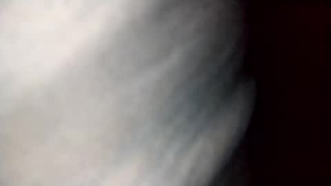 Snapshot of dalila_22 chatting on 19, 10, 2025 Dalila online show from 19, 10, 2025