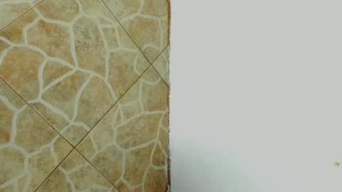         online show from 8, 2, 2025