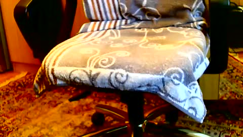 Dammerl online show from 15, 1, 2025