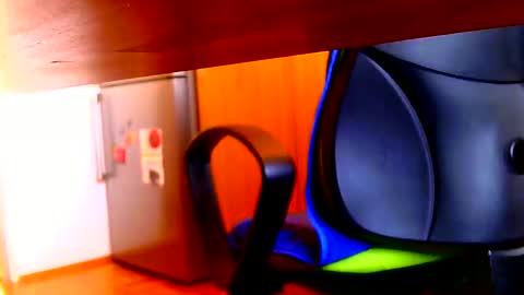 Dammerl online show from 7, 3, 2025