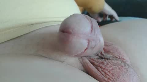 Snapshot of damocles01 chatting on 20, 10, 2025 Damocles online show from 20, 10, 2025