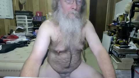 Dana online show from 8, 12, 2024