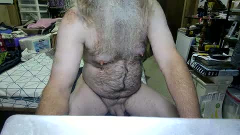 Dana online show from 16, 9, 2025