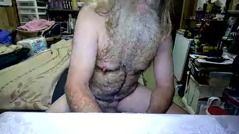 Dana online show from 23, 11, 2025